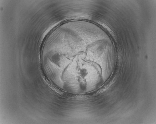 X0000075830933200610151516