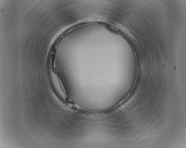 X0000075830934200610151516