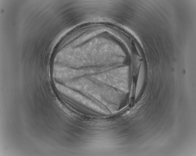 X0000075830935200610151516