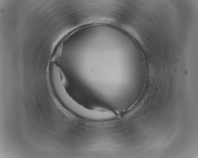 X0000075830936200610151516