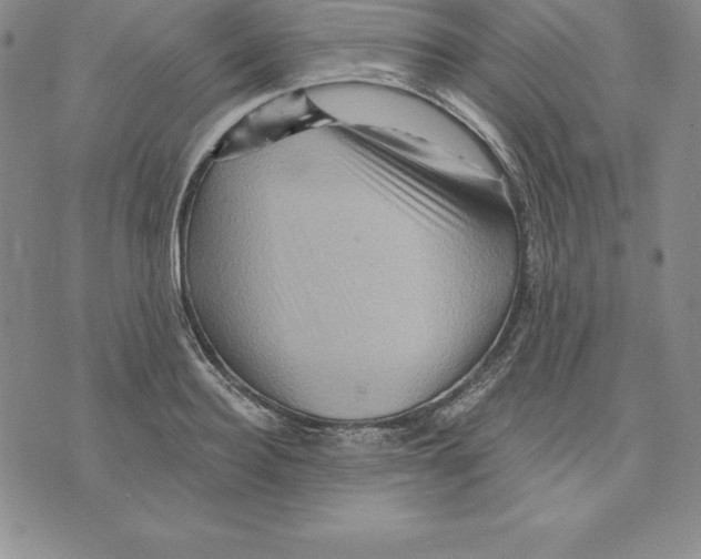 X0000075830940200610151516