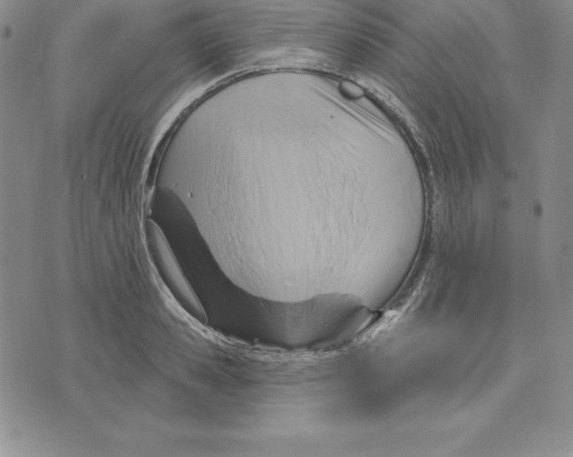 X0000075830941200610151516