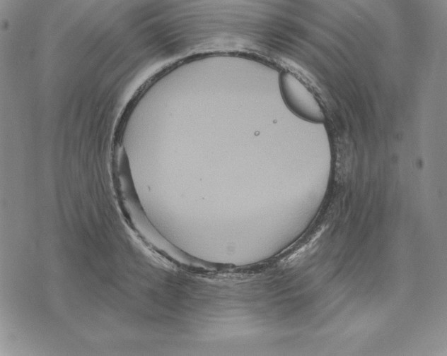 X0000075830942200610151516