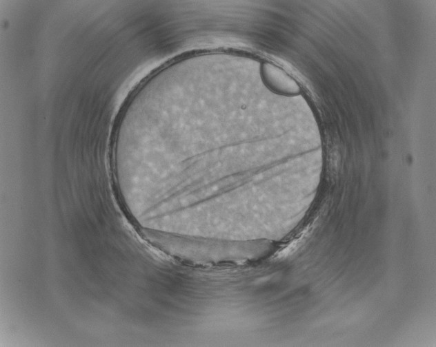 X0000075830943200610151516