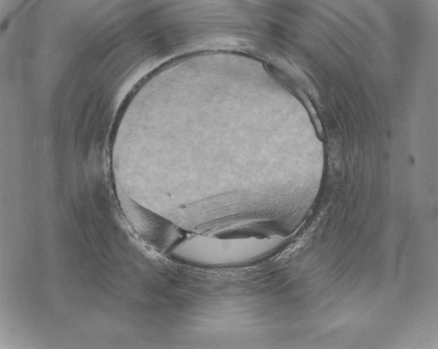 X0000075830944200610151516