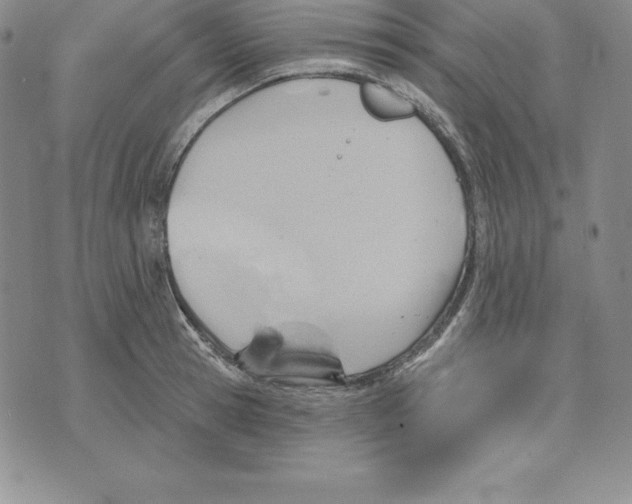 X0000075830945200610151516