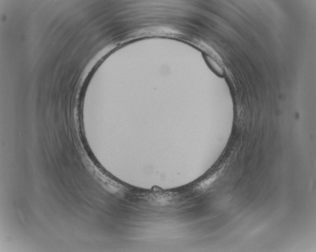 X0000075830947200610151516