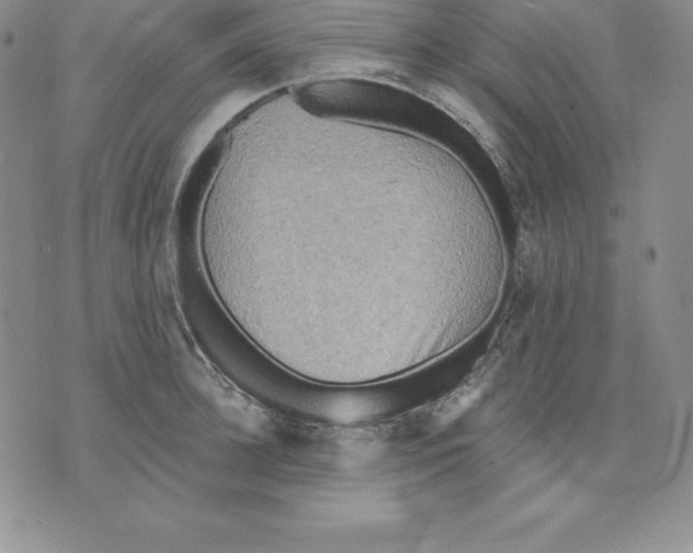 X0000075830948200610151516