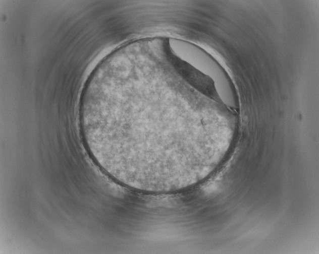 X0000075830949200610151516