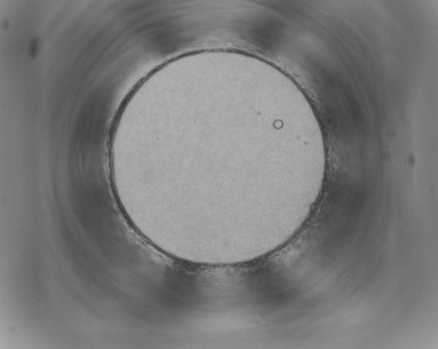 X0000075830950200610151516