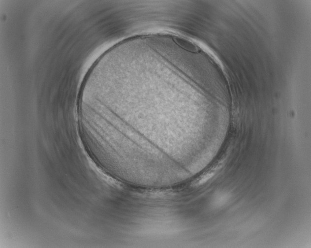 X0000075830951200610151516