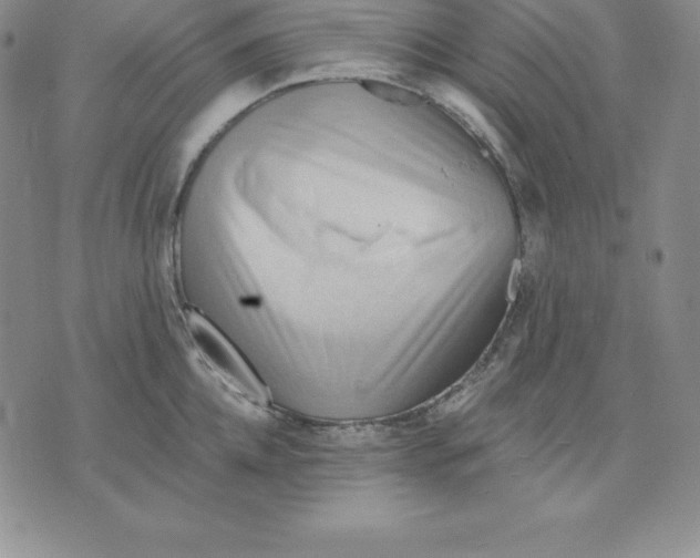 X0000075830952200610151516