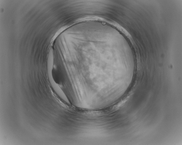 X0000075830953200610151516