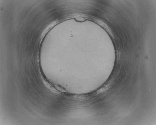 X0000075830954200610151516