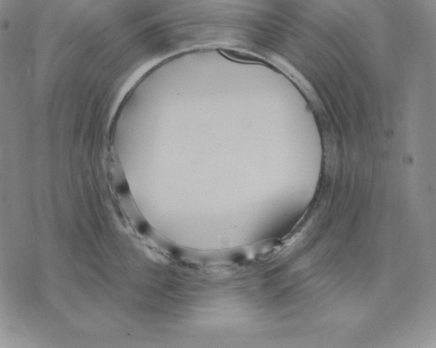 X0000075830956200610151517