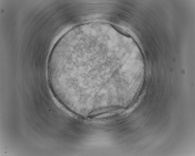 X0000075830957200610151517