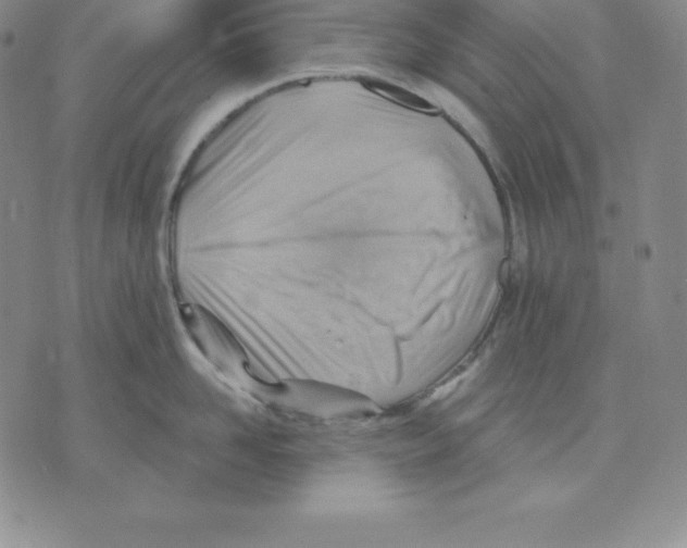 X0000075830958200610151517