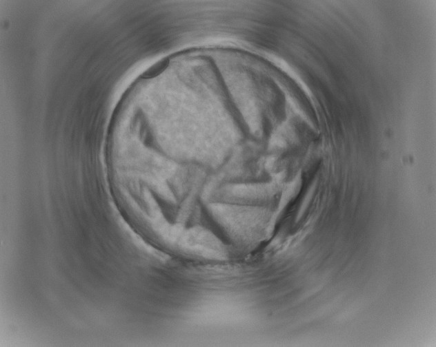 X0000075830959200610151517