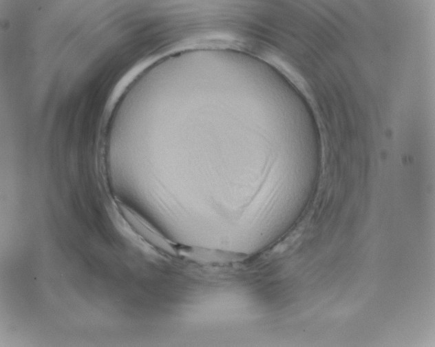 X0000075830960200610151517