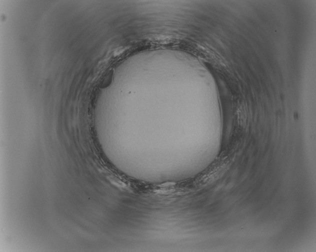 X0000075830961200610151516