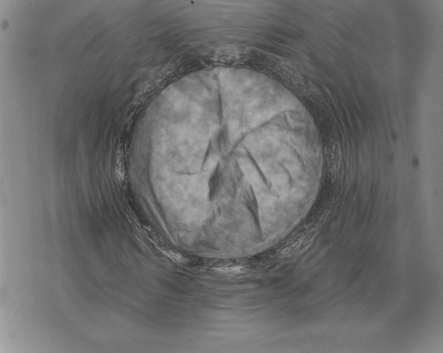 X0000075830962200610151516