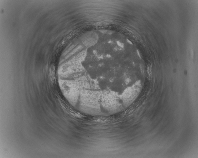 X0000075830963200610151516