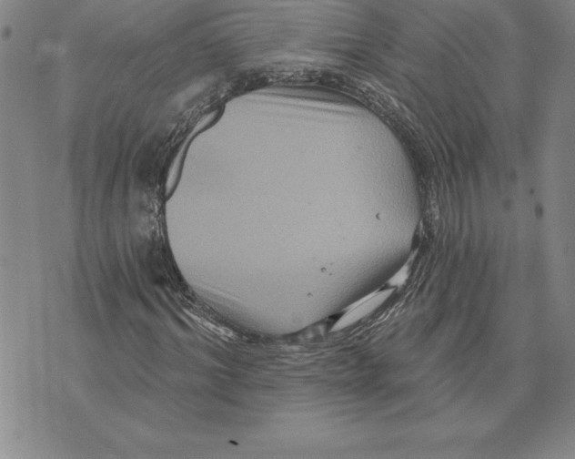 X0000075830964200610151516