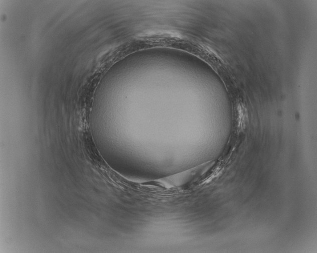 X0000075830965200610151516