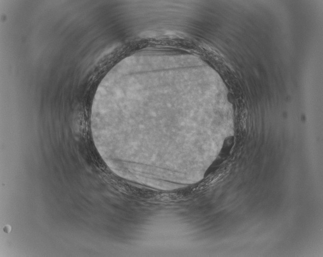 X0000075830966200610151516