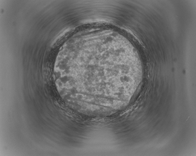 X0000075830967200610151516