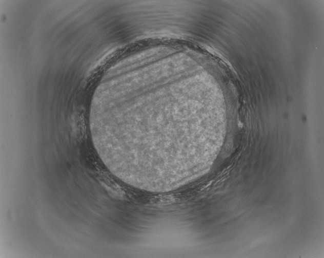 X0000075830968200610151516