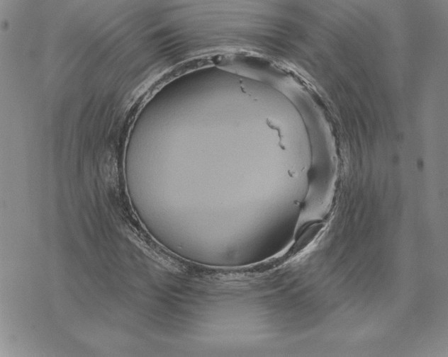 X0000075830969200610151516