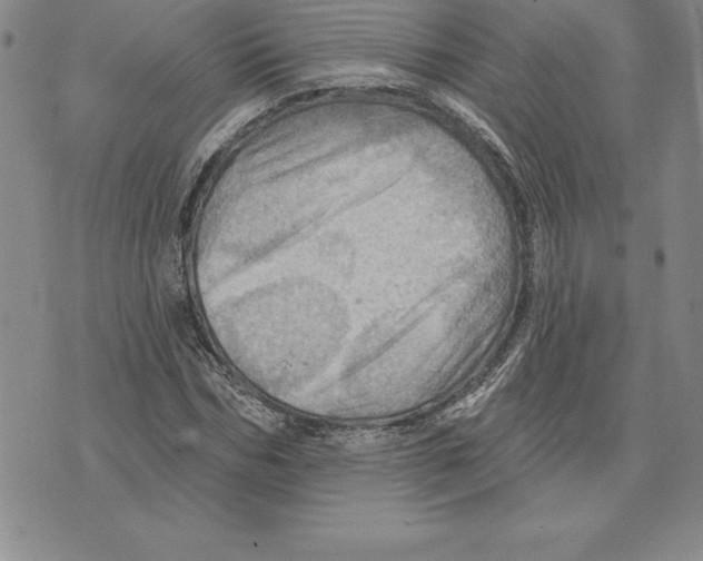 X0000075830970200610151516