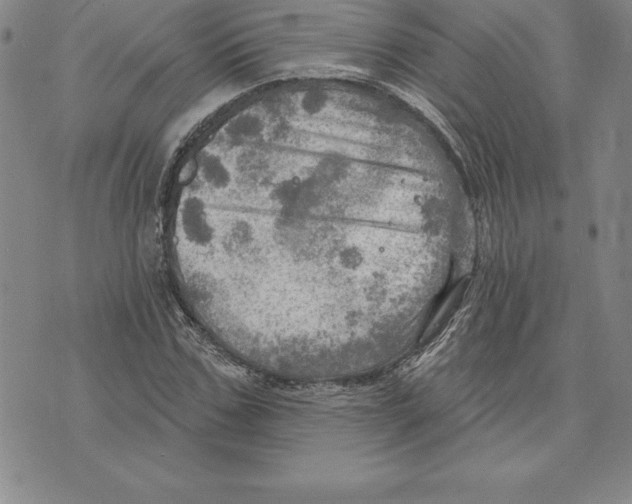 X0000075830971200610151516