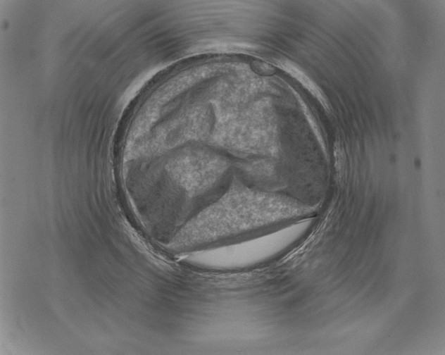 X0000075830972200610151516