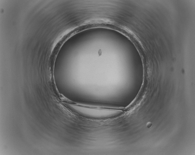 X0000075830973200610151516