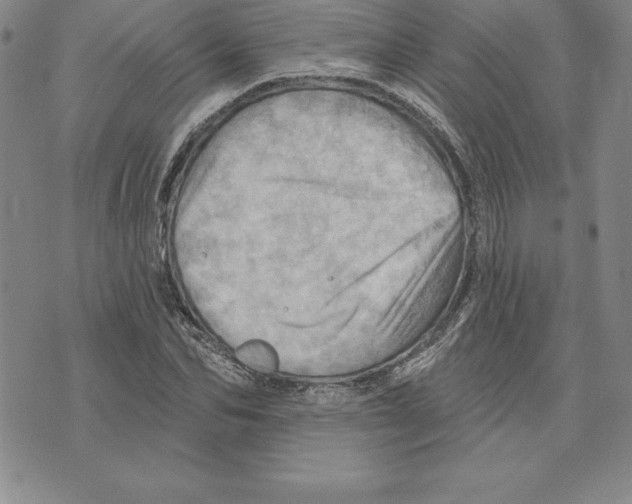 X0000075830974200610151516