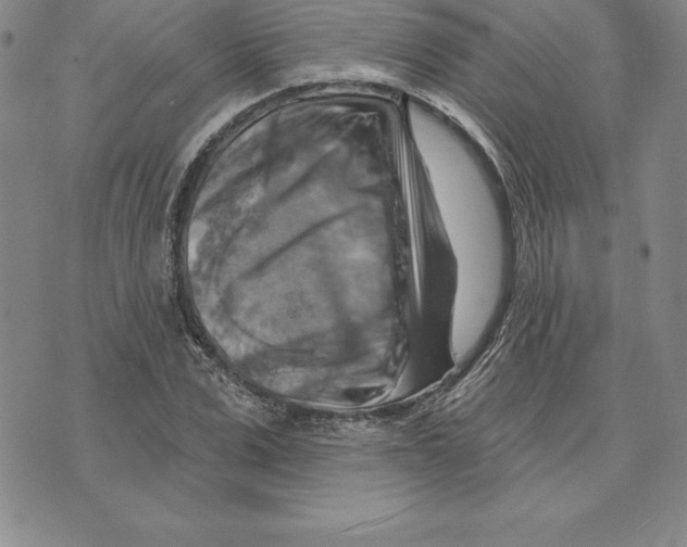 X0000075830975200610151516