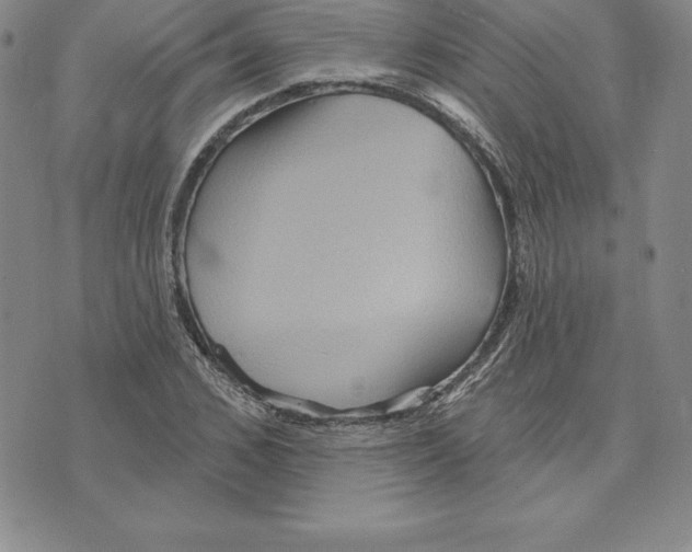 X0000075830976200610151516