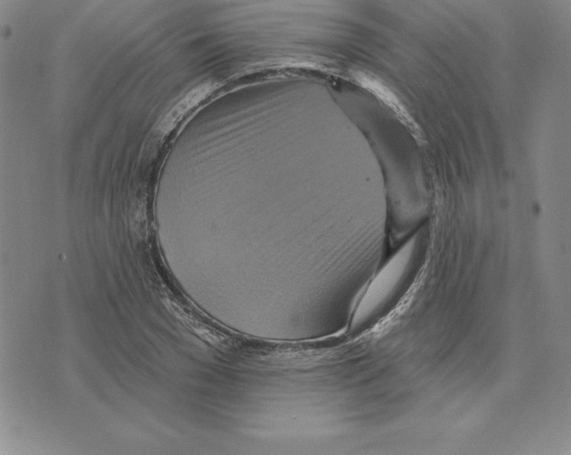 X0000075830977200610151516