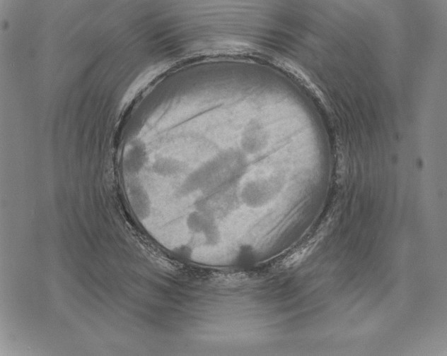 X0000075830978200610151516