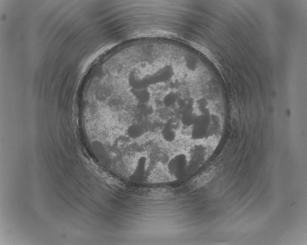 X0000075830979200610151516