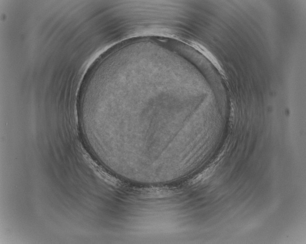 X0000075830980200610151515