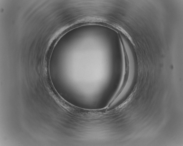 X0000075830981200610151515