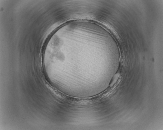 X0000075830982200610151515