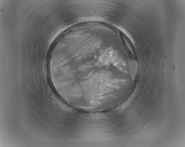 X0000075830983200610151515