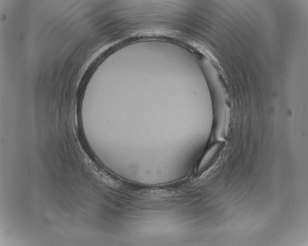 X0000075830984200610151515