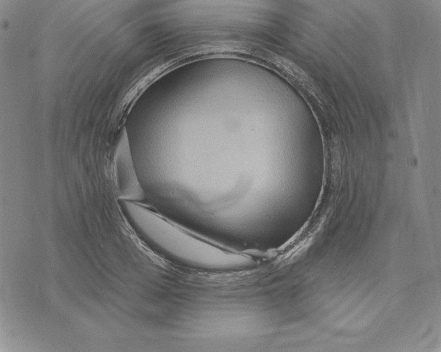 X0000075830985200610151515