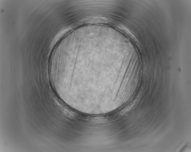 X0000075830986200610151515