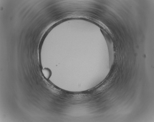 X0000075830988200610151515